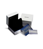 Watch Seiko Woman Classic Donna in Steel yellow gold plated SUR697P1 - SUR697P1